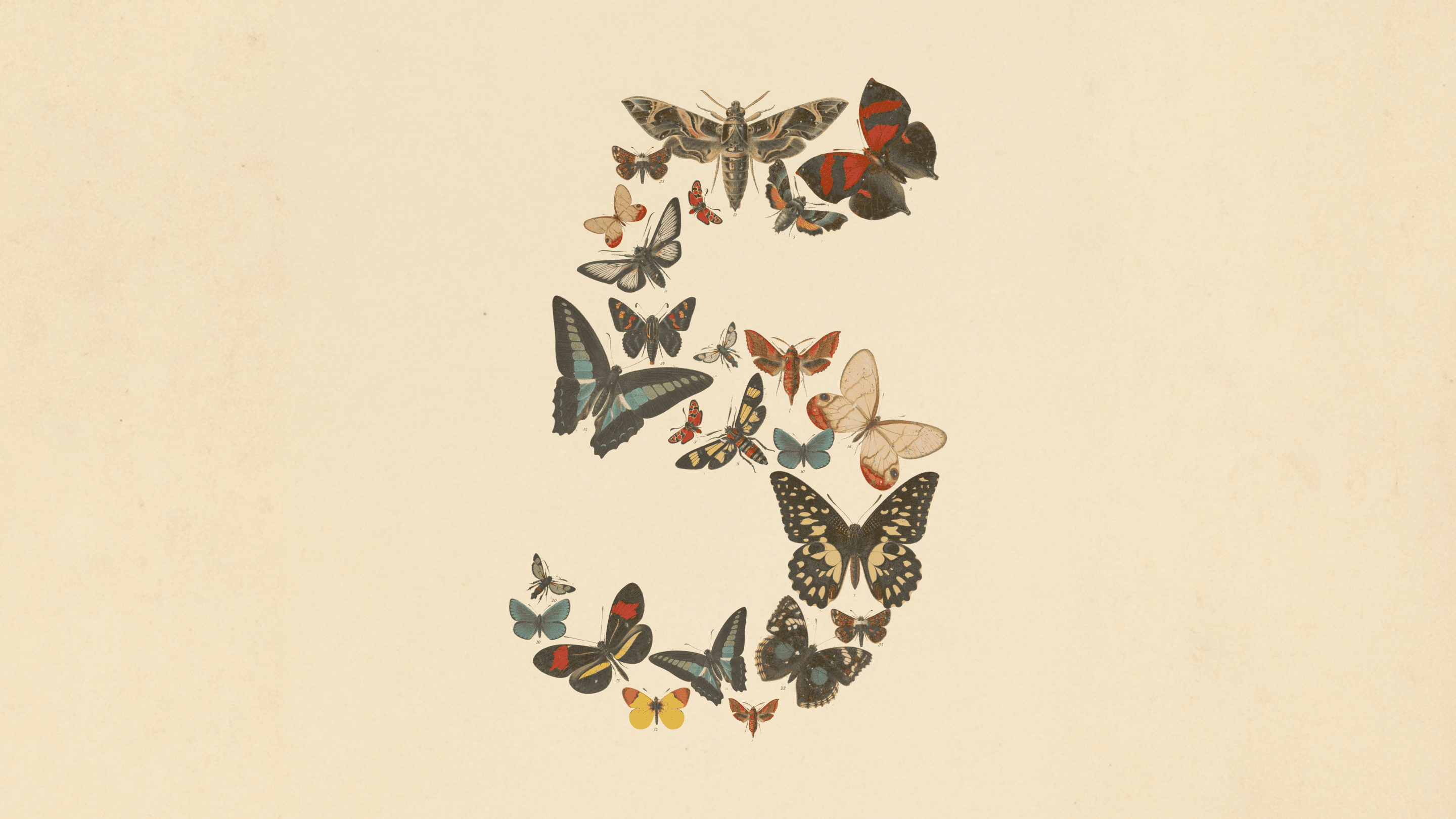 Key art officiel de Claude Fable 5 : le chiffre 5 composé de papillons victoriens sur fond crème